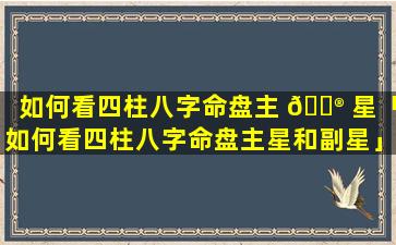 如何看四柱八字命盘主 💮 星「如何看四柱八字命盘主星和副星」